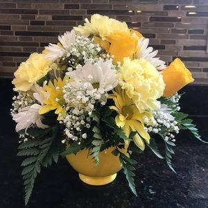 Meet your Posher, Phoebe